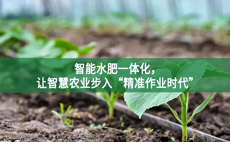智能水肥一体化，让智慧农业步入“精准作业时代”