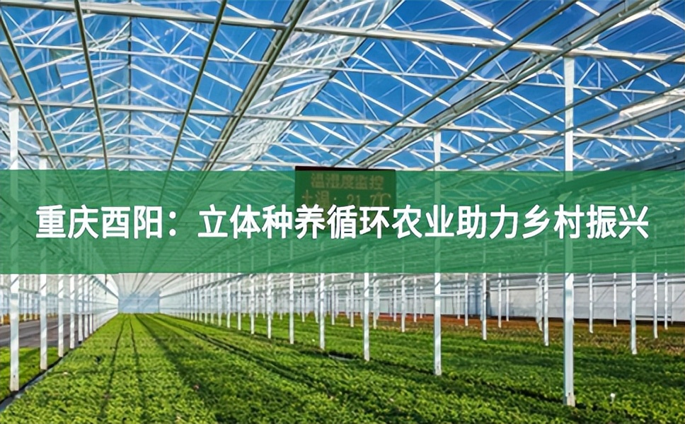 重庆酉阳：立体种养循环农业助力乡村振兴