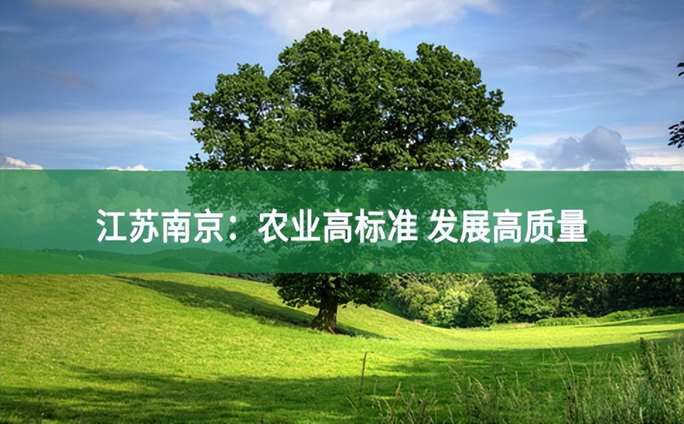 江苏南京：农业高标准 发展高质量