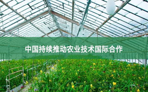 中国持续推动农业技术国际合作