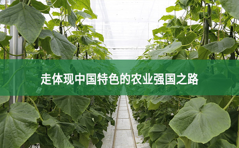 走体现中国特色的农业强国之路