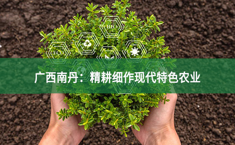 广西南丹：精耕细作现代特色农业