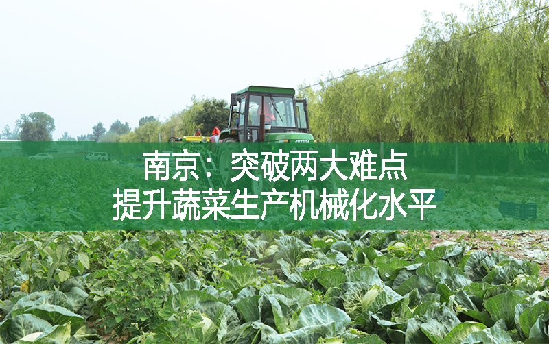 南京：突破两大难点，提升蔬菜生产机械化水平