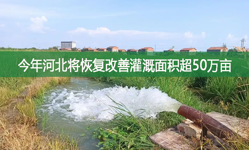今年河北将恢复改善灌溉面积超50万亩