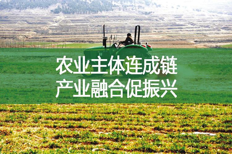 农业主体连成链 产业融合促振兴