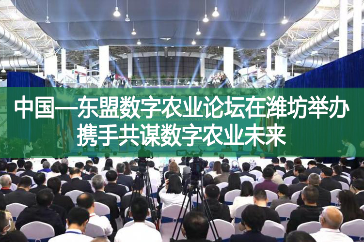 中国—东盟数字农业论坛在潍坊举办 携手共谋数字农业未来