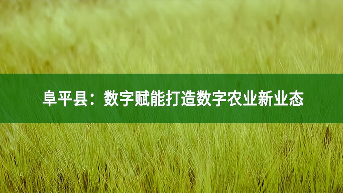 阜平县：数字赋能打造数字农业新业态