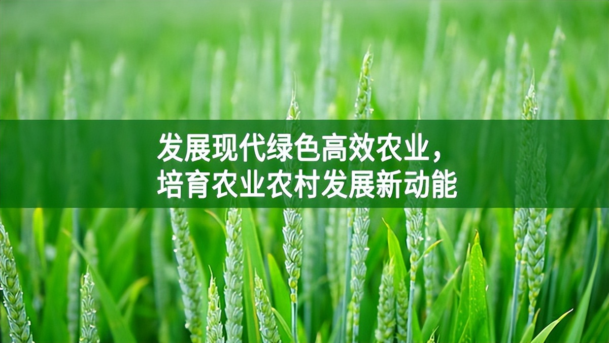 发展现代绿色高效农业，培育农业农村发展新动能