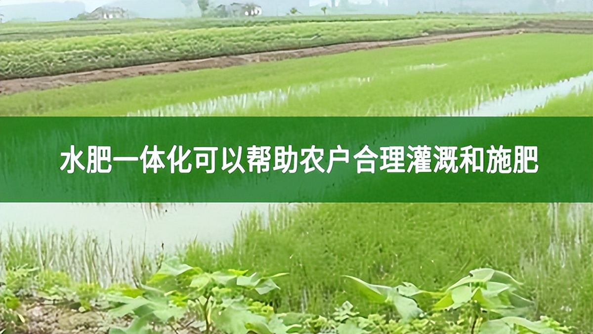 水肥一体化可以帮助农户合理灌溉和施肥