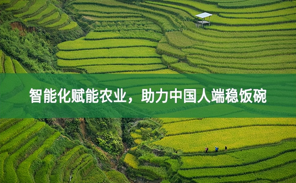 智能化赋能农业，助力中国人端稳饭碗