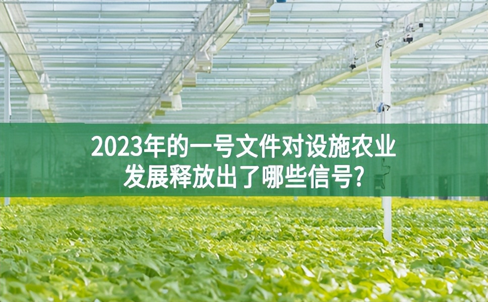 2023年的一号文件对设施农业发展释放出了哪些信号?