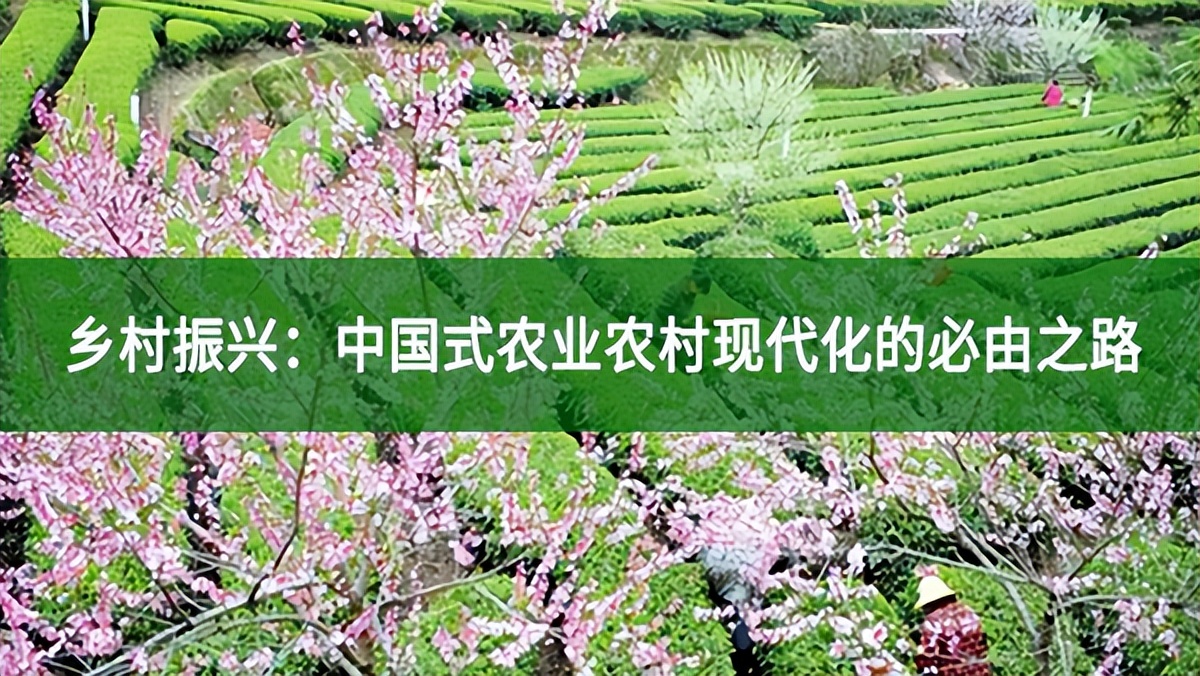 乡村振兴：中国式农业农村现代化的必由之路