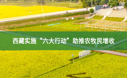 西藏实施“六大行动”助推农牧民增收