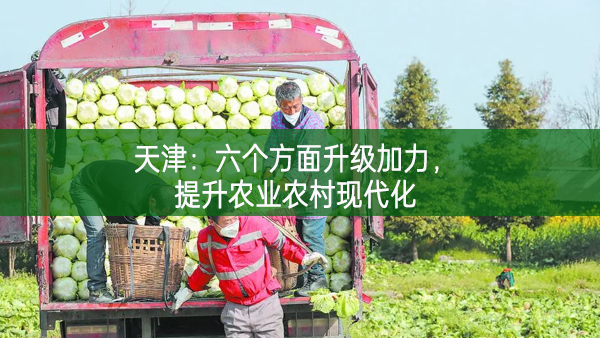 天津：六个方面升级加力，提升农业农村现代化