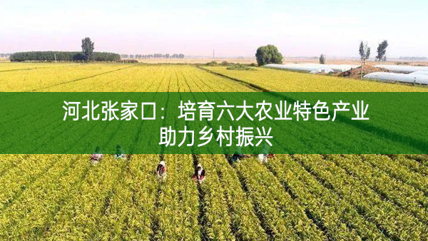 河北张家口：培育六大农业特色产业助力乡村振兴