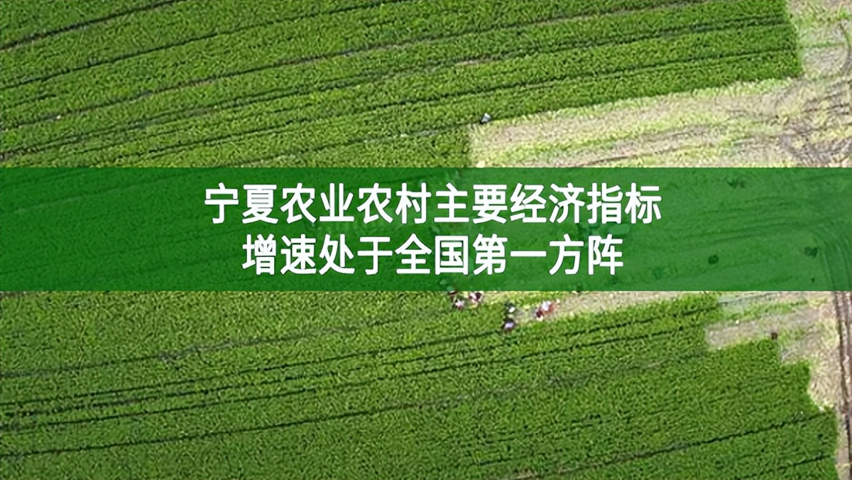 宁夏农业农村主要经济指标增速处于全国第一方阵