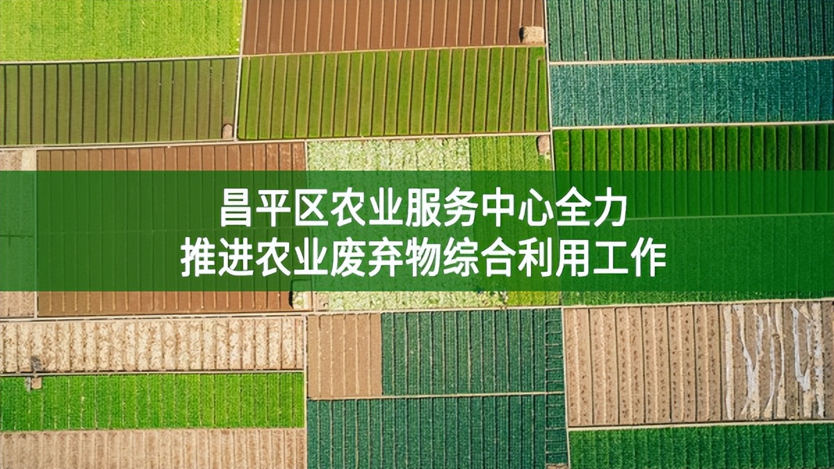 【绿色发展】昌平区农业服务中心全力推进农业废弃物综合利用工作