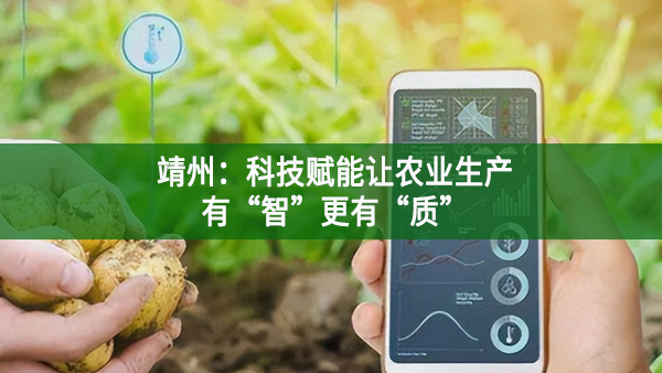 靖州：科技赋能让农业生产有“智”更有“质”