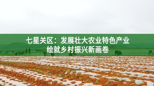 七星关区：发展壮大农业特色产业，绘就乡村振兴新画卷
