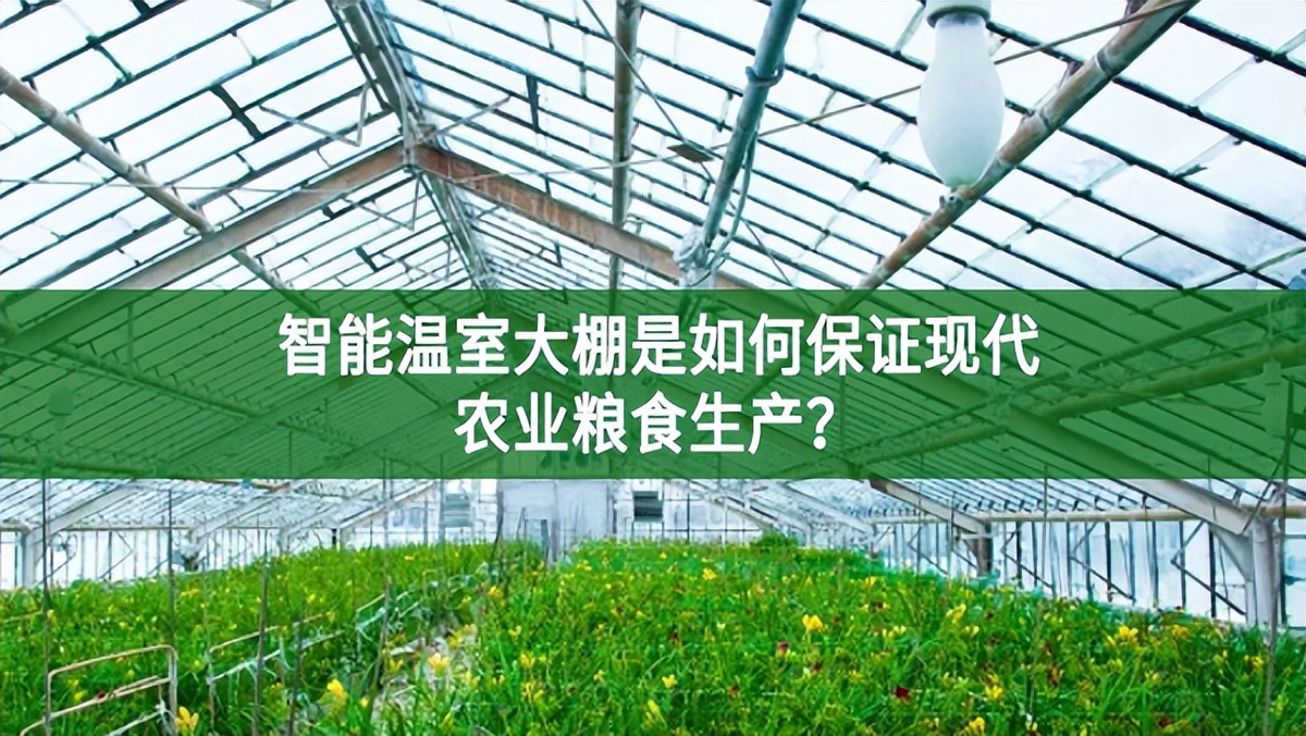 智能温室大棚是如何保证现代农业粮食生产?