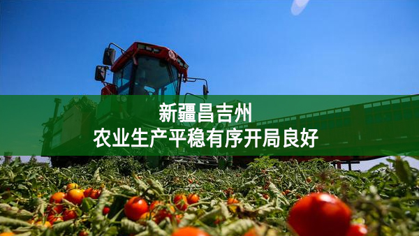 新疆昌吉州：农业生产平稳有序开局良好