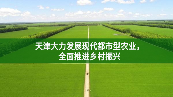 天津大力发展现代都市型农业，全面推进乡村振兴
