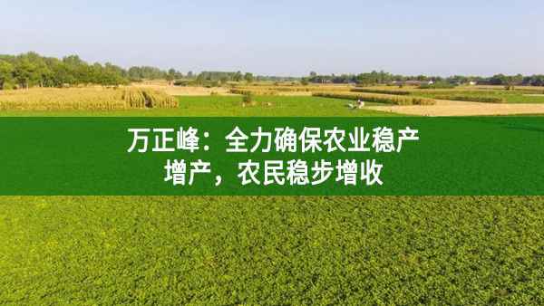 万正峰：全力确保农业稳产增产，农民稳步增收