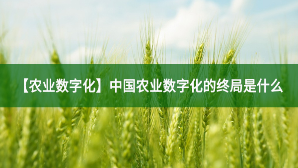 中国农业数字化的终局是什么