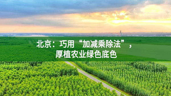 北京：巧用“加减乘除法”，厚植农业绿色底色
