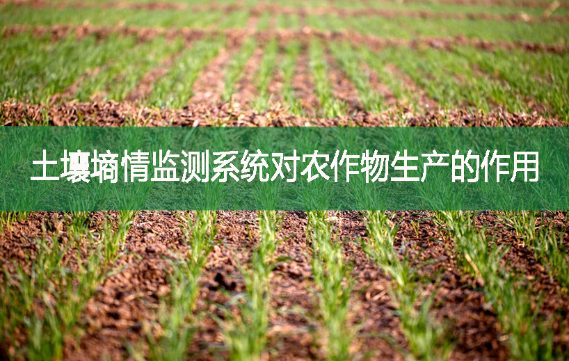 土壤墒情监测系统对农作物生产的作用