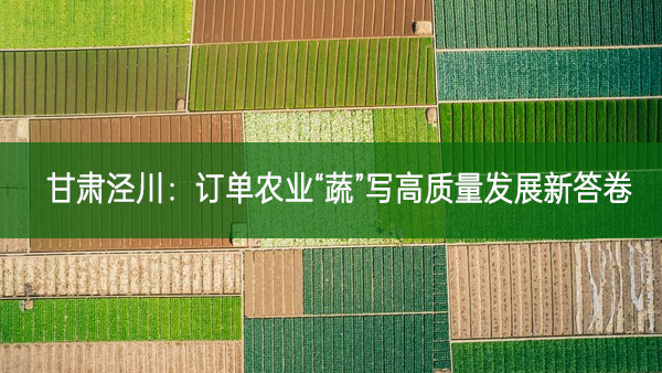 甘肃泾川：订单农业“蔬”写高质量发展新答卷