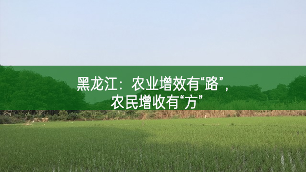 黑龙江：农业增效有“路”，农民增收有“方”
