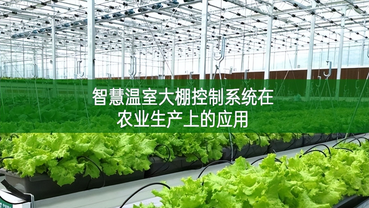智慧温室大棚控制系统在农业生产上的应用