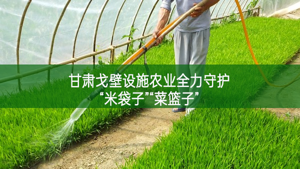 甘肃戈壁设施农业全力守护“米袋子”“菜篮子”