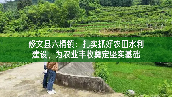 修文县六桶镇：扎实抓好农田水利建设，为农业丰收奠定坚实基础