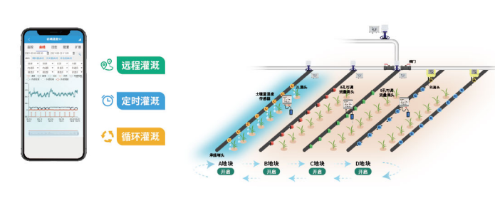 智能水肥一体化系统的自动化灌溉