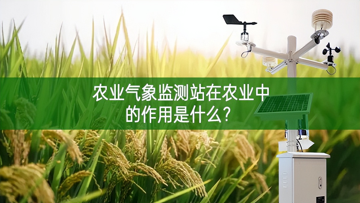 农业气象监测站在农业中的作用是什么?