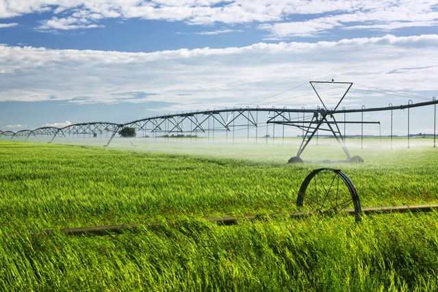 如何科学的进行农业水肥一体化来提高农作物品质?
