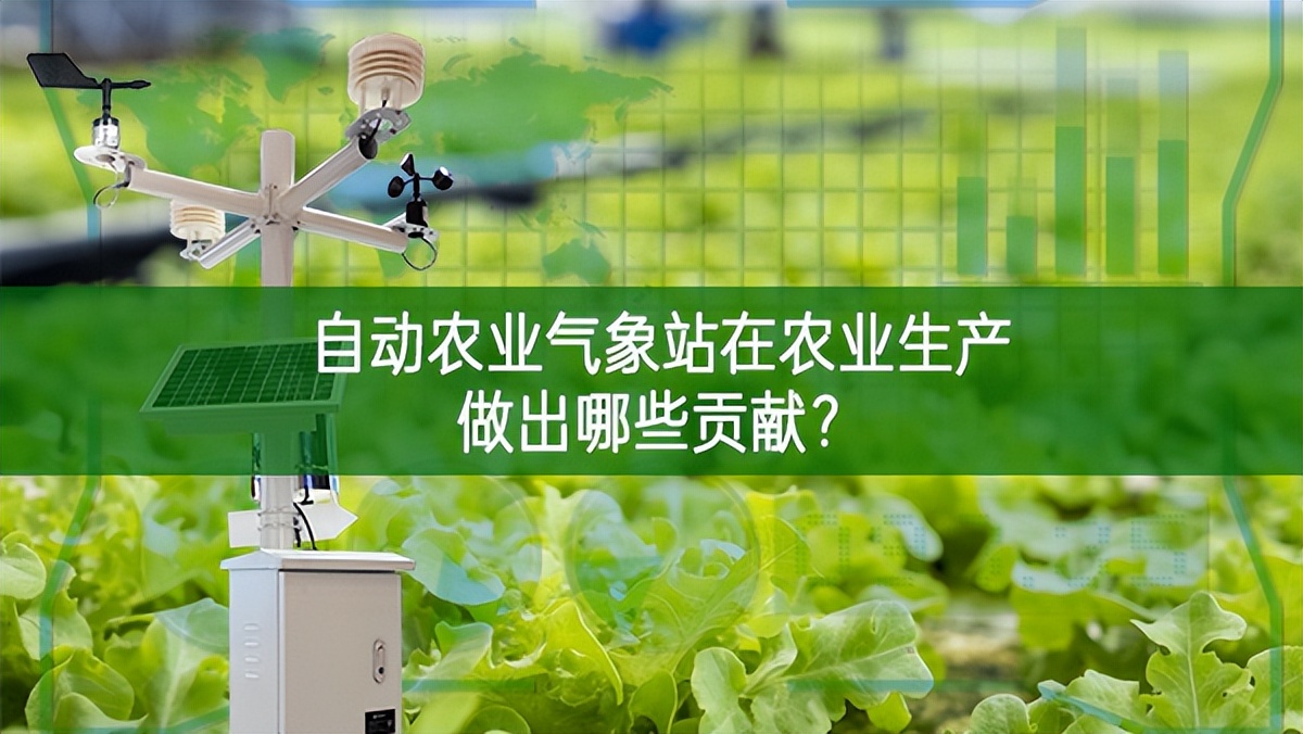 自动农业气象站在农业生产做出哪些贡献?