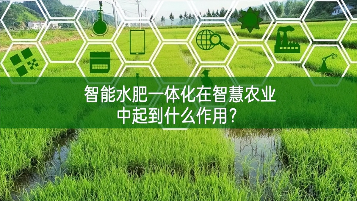 智能水肥一体化在智慧农业中起到什么作用？