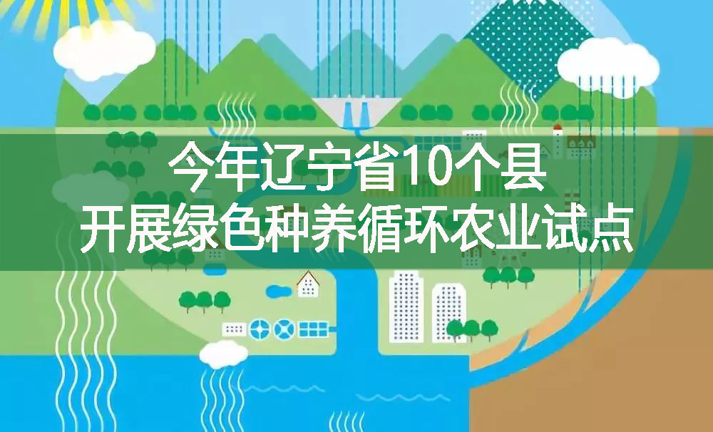 今年辽宁省10个县开展绿色种养循环农业试点