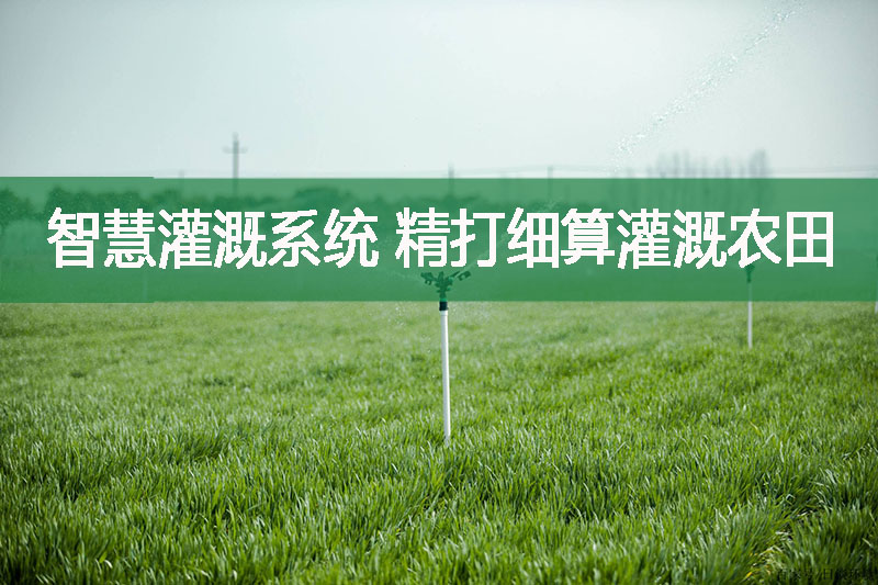 智慧灌溉系统 精打细算灌溉农田