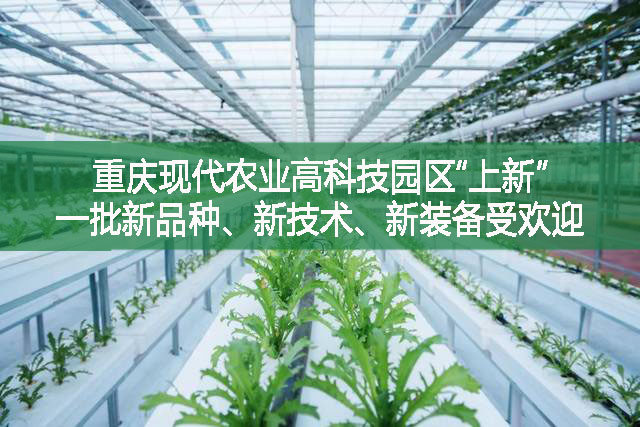 重庆现代农业高科技园区“上新” 一批新品种、新技术、新装备受欢迎