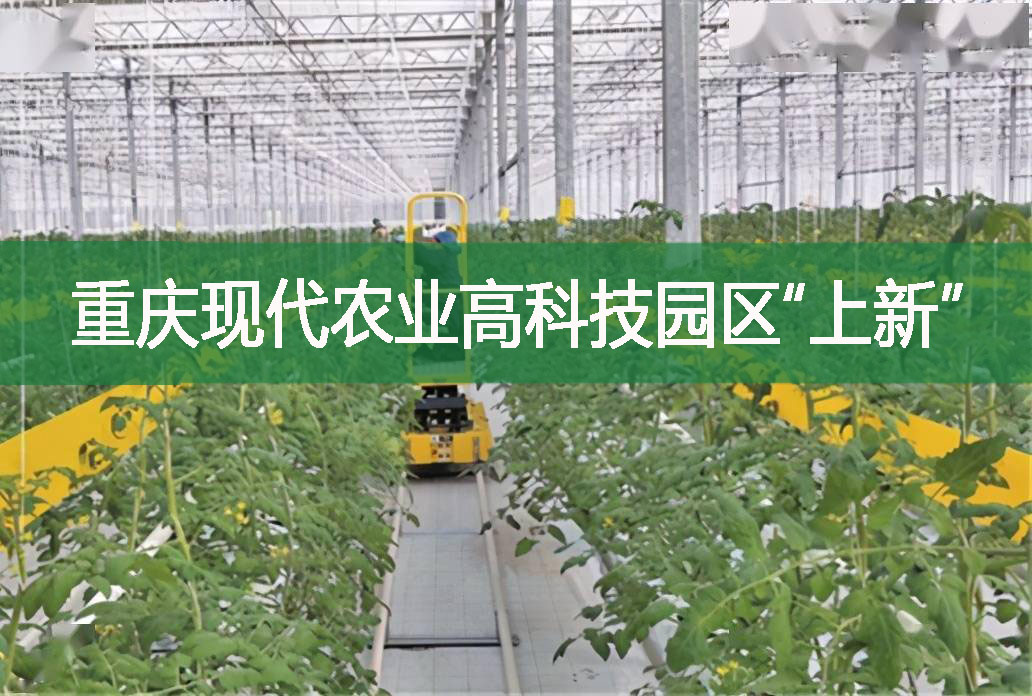 重庆现代农业高科技园区“上新”