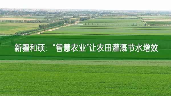新疆和硕：“智慧农业”让农田灌溉节水增效