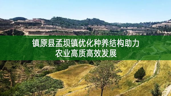 镇原县孟坝镇优化种养结构助力农业高质高效发展
