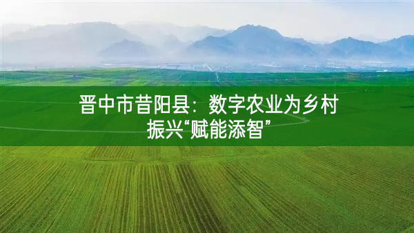 晋中市昔阳县：数字农业为乡村振兴“赋能添智”
