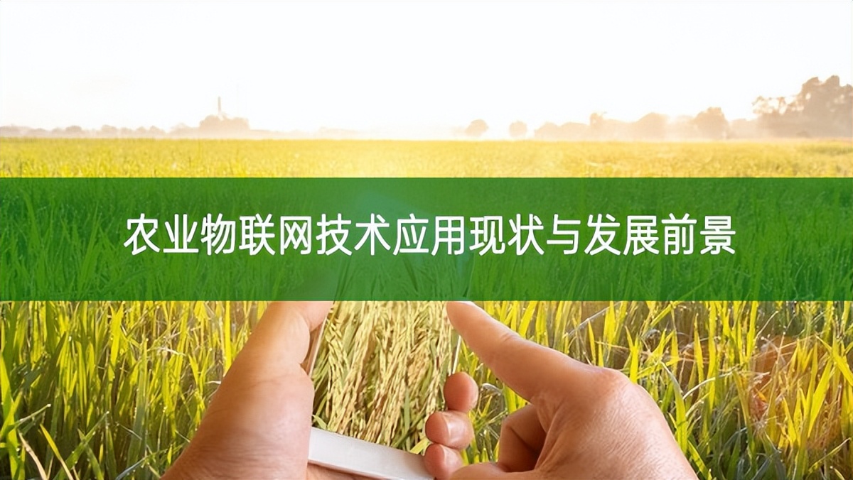 农业物联网技术应用现状与发展前景