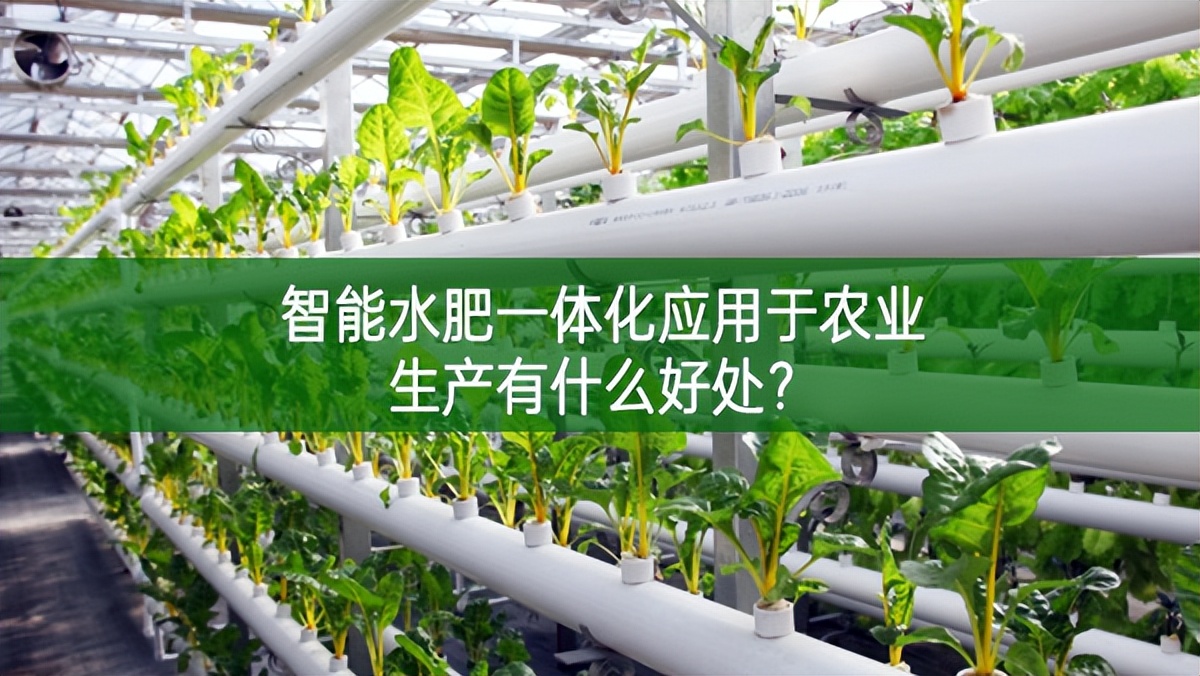 智能水肥一体化应用于农业生产有什么好处?