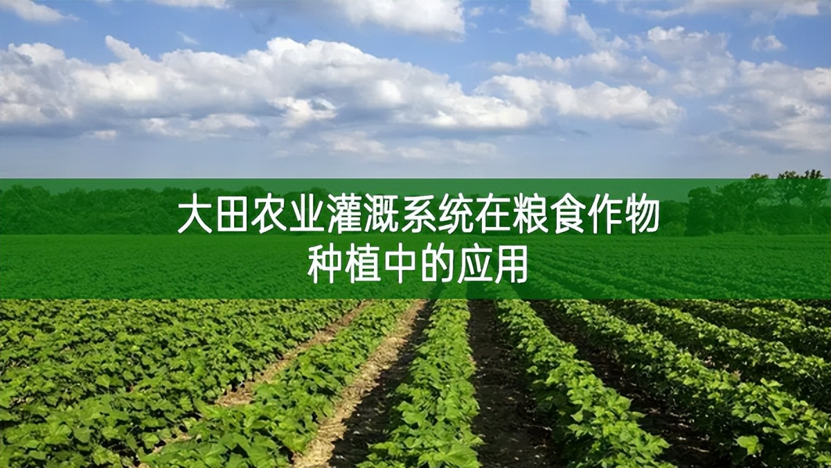 大田农业灌溉系统在粮食作物种植中的应用